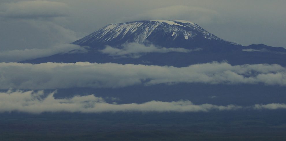 kilimanjaro, snow, africa-4597809.jpg