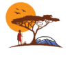 AA Tours and Safaris